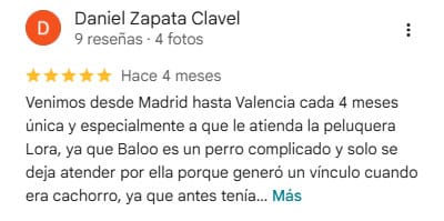 Inicio
